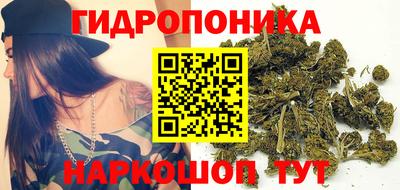 2c-b Заводоуковск