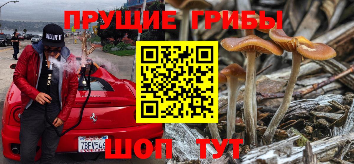 Псилоцибиновые грибы ЛСД  Вход с VPN  Корсаков 